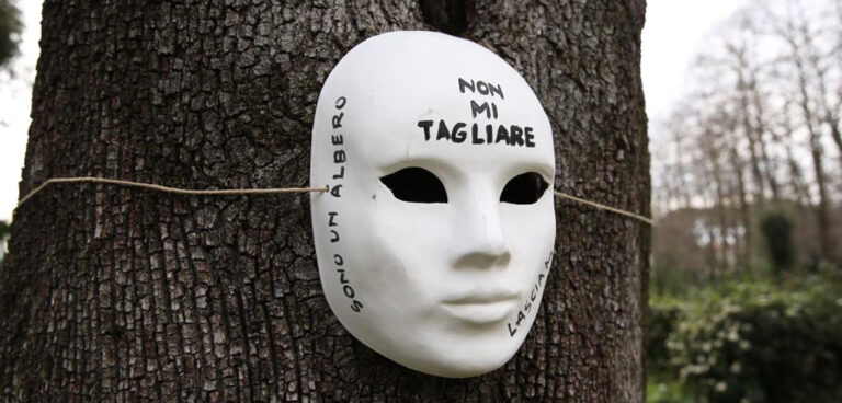 Stop al taglio degli alberi albero, protesta contro i tagli