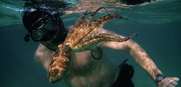 Tentacoli: il meraviglioso mondo dei polpi in My Octopus Teacher my-octopus-teacher