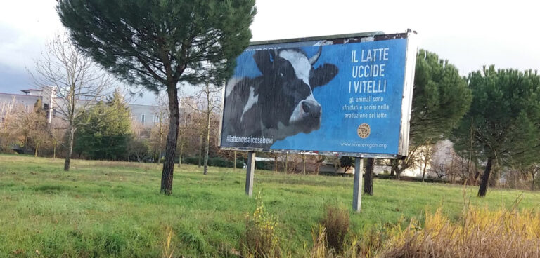 manifesto-latte-arezzo