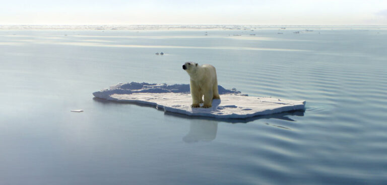 Cambiamento climatico: un punto di vista antispecista